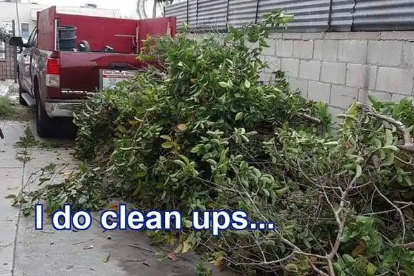 AM Junk Removal Solutions's other services