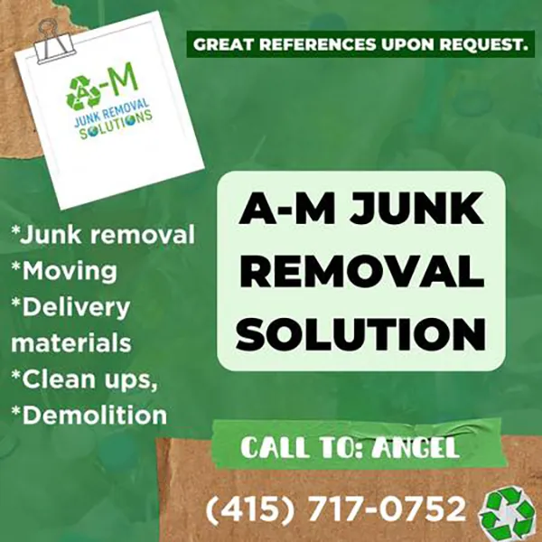 Professional Junk Company